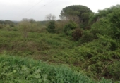 Parcel·la urbanitzable en venda a la España, Encinarejo de Córdoba, ref.: TR131694 foto