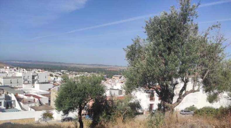 Cádiz - Villamartín - 1704m2