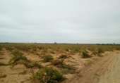 Xalet independent amb terreny en venda a la España, Tomelloso, ref.: TR318323 foto