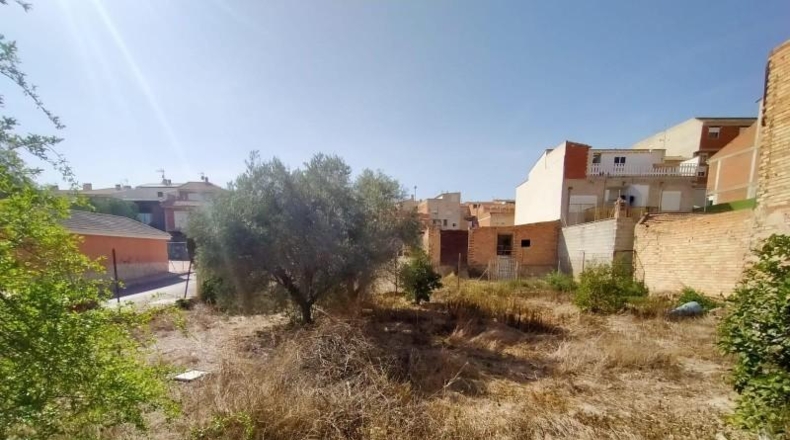Múrcia - Molina de Segura - 310m2