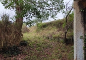 Finca rústica en venda a la España, Villaviciosa, ref.: TR295384 foto