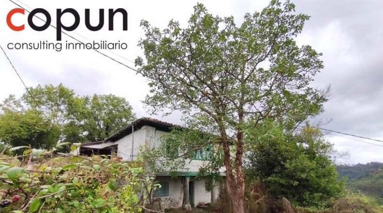 Asturias - Villaviciosa - 3000m2