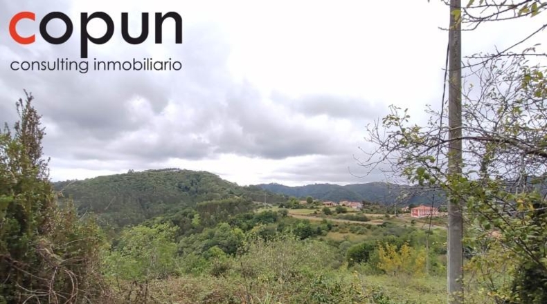 Asturias - Villaviciosa - 3000m2