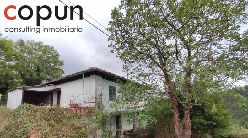 Asturias - Villaviciosa - 3000m2