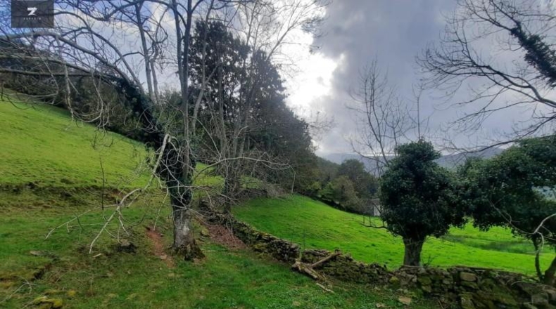 Cantabria - San Pedro del Romeral - 24586m2