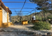 Земельный участок на продажу в городе Lorca Фото