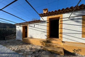 Foto 15