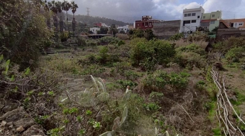 Santa Cruz de Tenerife - Icod de los Vinos - 1731m2