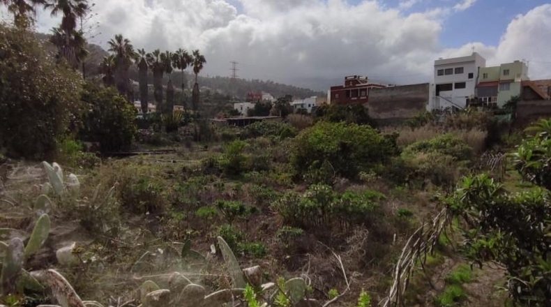 Santa Cruz de Tenerife - Icod de los Vinos - 1731m2