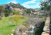 Parcel·la urbanitzable en venda a la España, Grazalema, ref.: TR287939 foto