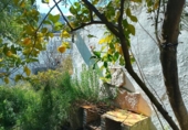 Parcel·la urbanitzable en venda a la España, Grazalema, ref.: TR287939 foto
