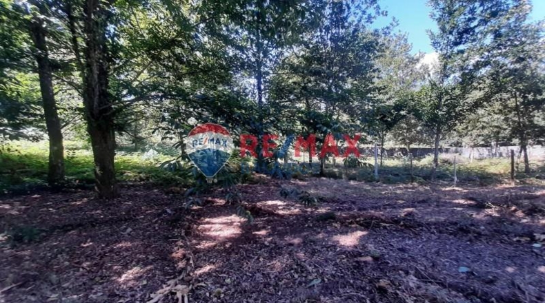 Pontevedra - A Cañiza - 4900m2
