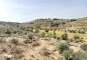 Sòl urbà en venda a la España, Antequera, ref.: TR120990 foto