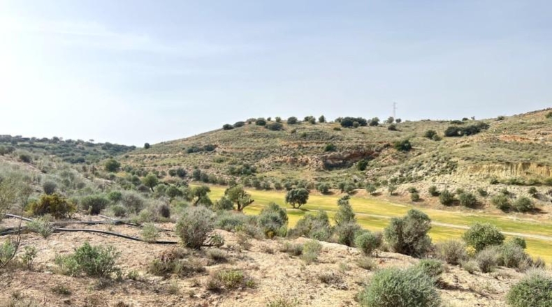 Málaga - Antequera - 1830m2