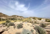 Sòl urbà en venda a la España, Antequera, ref.: TR120990 foto