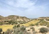 Sòl urbà en venda a la España, Antequera, ref.: TR120990 foto