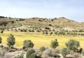 Sòl urbà en venda a la España, Antequera, ref.: TR120990 foto