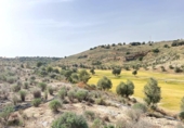Sòl urbà en venda a la España, Antequera, ref.: TR120990 foto
