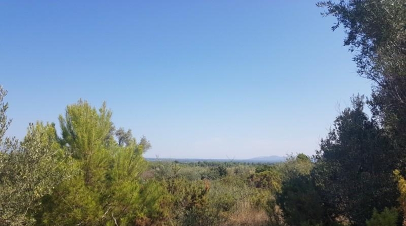 Castellón - San Jorge - 18800m2