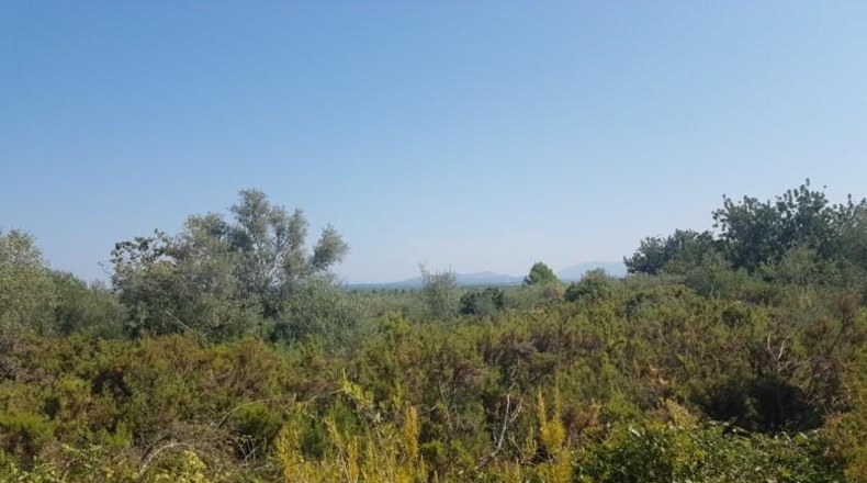 Castellón - San Jorge - 18800m2
