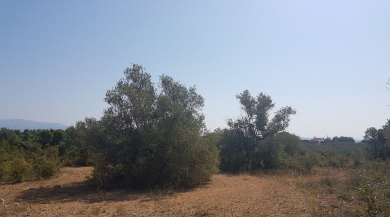 Castellón - San Jorge - 18800m2