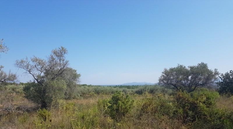 Castellón - San Jorge - 18800m2