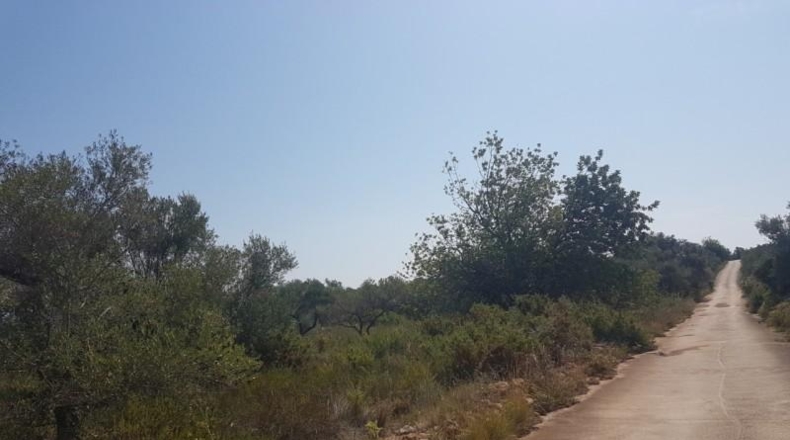 Castellón - San Jorge - 18800m2