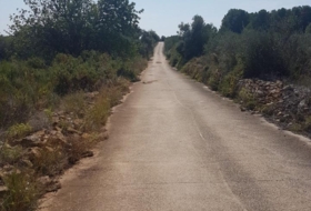 Foto 11