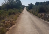 Xalet independent amb terreny en venda a la España, Sant Jordi, ref.: TR301113 foto