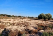 Parcel·la urbanitzable en venda a la España, Crevillent, ref.: TR121155 foto