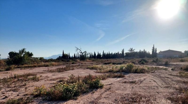 Alicante - Crevillente - 13000m2