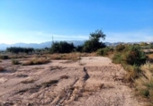 Parcel·la urbanitzable en venda a la España, Crevillent, ref.: TR121155 foto