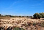 Parcel·la urbanitzable en venda a la España, Crevillent, ref.: TR121155 foto