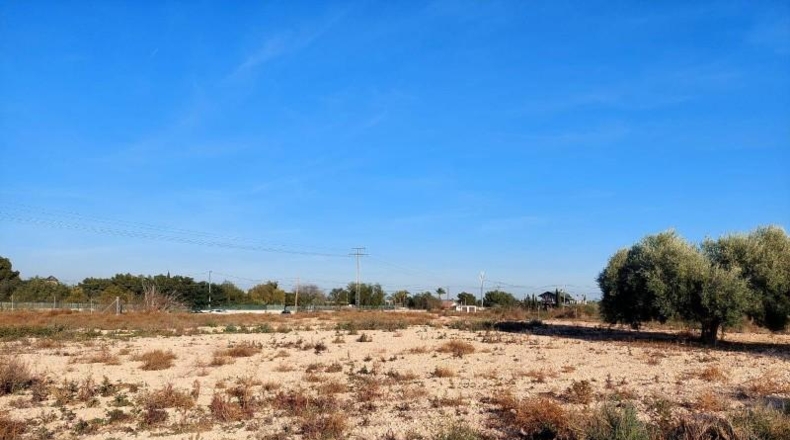 Alicante - Crevillente - 13000m2