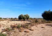 Parcel·la urbanitzable en venda a la España, Crevillent, ref.: TR121155 foto