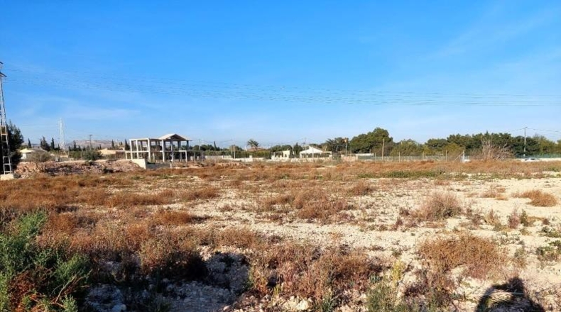 Alicante - Crevillente - 13000m2