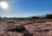 Parcel·la urbanitzable en venda a la España, Crevillent, ref.: TR121155 foto
