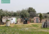 Chalet independiente con terreno en venta en la España, Selva, ref: TR302137 foto
