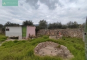 Chalet independiente con terreno en venta en la España, Selva, ref: TR302137 foto