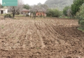 Chalet independiente con terreno en venta en la España, Selva, ref: TR302137 foto