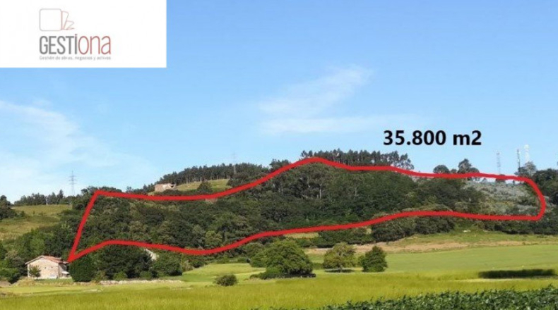 Cantàbria - Bárcena de Cicero - 35800m2