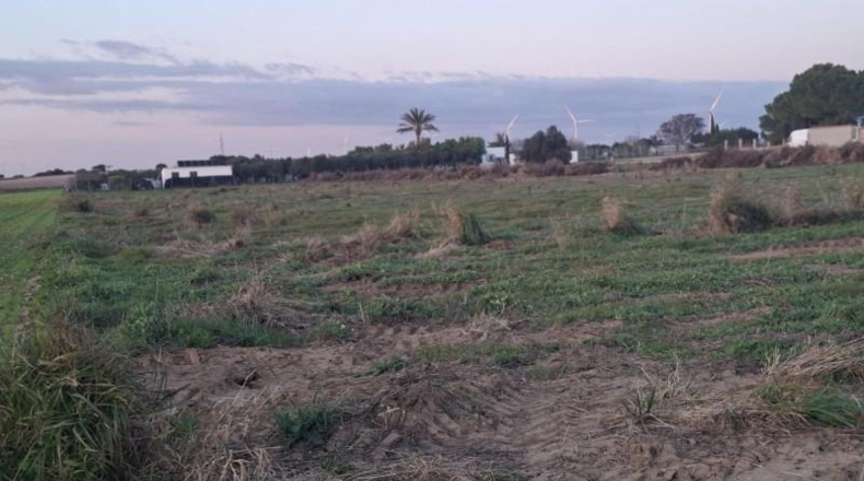 Cádiz - Puerto Real - 12000m2