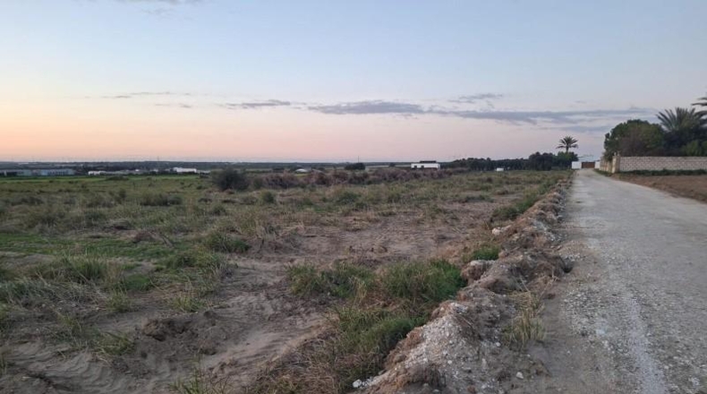 Cádiz - Puerto Real - 12000m2