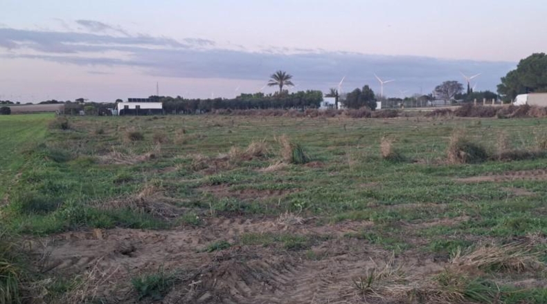 Cádiz - Puerto Real - 12000m2