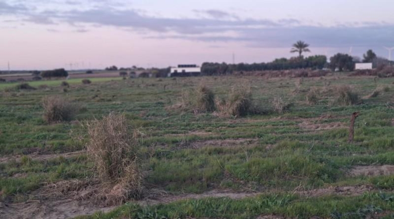 Cádiz - Puerto Real - 12000m2