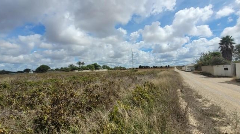 Cádiz - Puerto Real - 12000m2