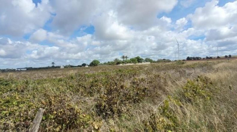Cádiz - Puerto Real - 12000m2