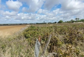 Foto 13