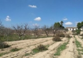 Casa de camp amb terreny en venda a la España, Fuente Álamo, ref.: TR301378 foto
