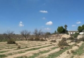 Casa de camp amb terreny en venda a la España, Fuente Álamo, ref.: TR301378 foto
